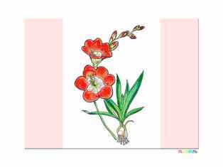 1-0-39-ixia-kp-web.jpg