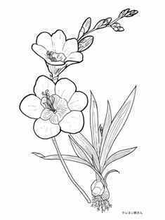 1-0-39-ixia-sen-web.jpg