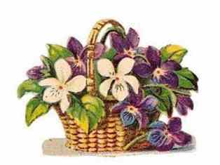 0-68-48-sumire-gazou-web.jpg
