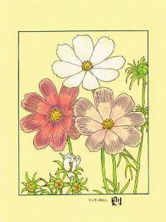0-68-65-cosmos-ill-ms-web.jpg