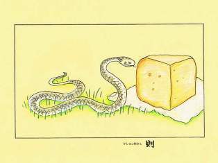 0-68-83-Ophidia-ill-ms-web.jpg