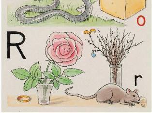 0-68-86-rat-rose-gazou-web.jpg