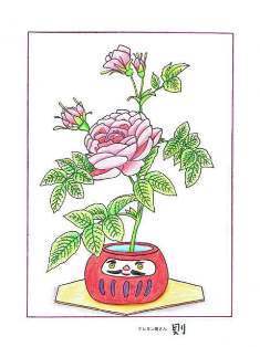0-69-20-rose-Redoutel-ill-ms-web.jpg