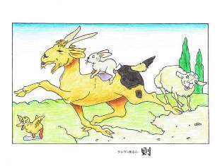 0-69-23-yagi-on-rabbit-ill-ms-web.jpg