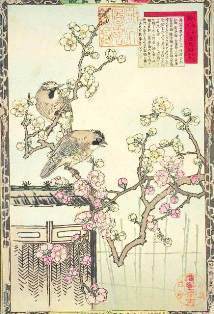 0-69-37-kakesu-ume-gazou-web.jpg