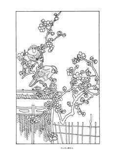 0-69-37-kakesu-ume-sen-web.jpg