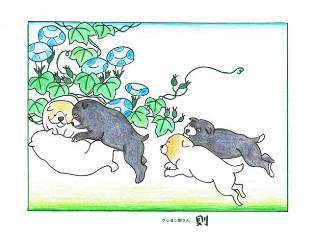 0-69-42-kourin-dogs-ill-ms-web.jpg