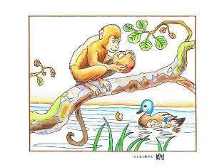 0-69-55-apple-monkey-ill-ms-web.jpg