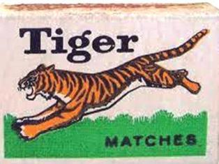 0-69-68-tiger-gazou-web.jpg
