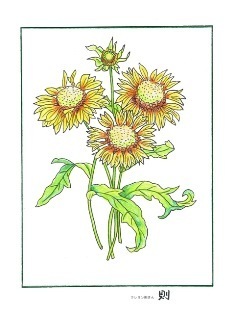 0-69-70-bland-flowers-ill-ms-web.jpg