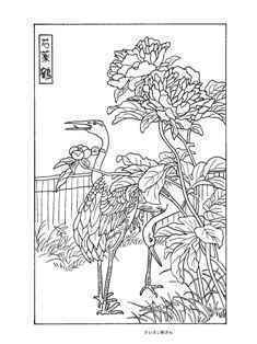 0-69-93-tsuru-shakuyaku-sen-web.jpg