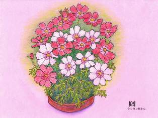 0-69-94-cosmos-ms-web.jpg