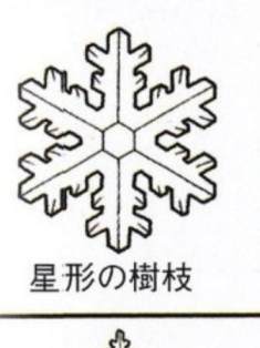 0-70-18-hoshi-snows-gazou-web.jpg