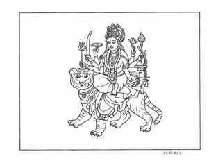 0-70-59-Durga-tiger-sen-web.jpg