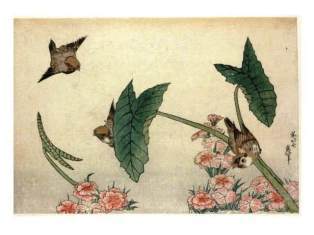0-70-62-hokusai-birds-nadeshiko-gazou-web.jpg