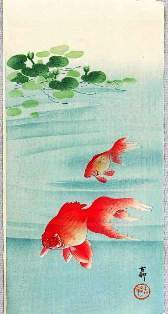 0-70-75-kingyo-tanzaku-gazou-web.jpg