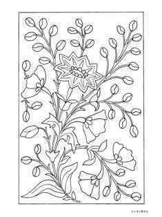 0-70-91-flower-sen-web.jpg