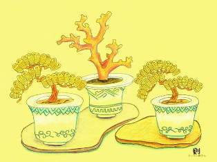 0-71-02-kin-bonsai-ill-ms-web.jpg