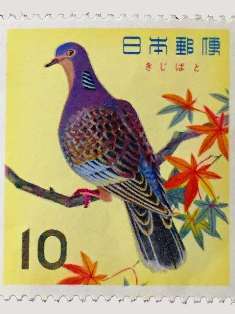 0-72-08-kijibato-gazou-web.jpg