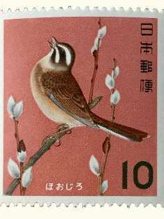 0-72-09-hoojiro-gazou-web.jpg