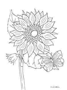 0-72-42-chou-sunflower-sen-web.jpg