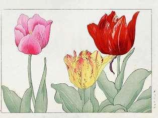 0-72-68-tulip-crain-gazou-web.jpg