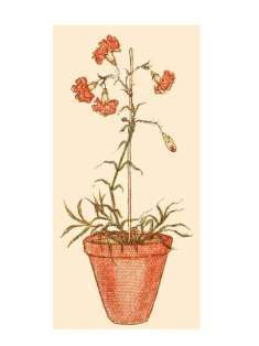 0-72-76-carnation-k-g-gazou-web.jpg