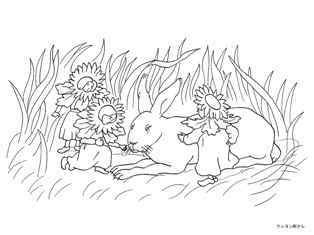 0-72-85-ek-rabbit-sen-web.jpg