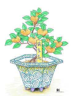 0-73-04-tachibana-bonsai-ill-ms-web.jpg