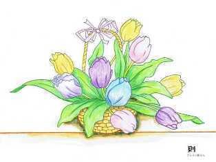 0-73-21-tulips-ill-ms-web.jpg