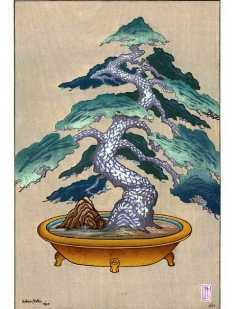 0-73-31-matsu-bonsai-gazou-web.jpg