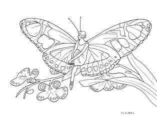 0-73-56-metamorpha-dido-sen-web.jpg
