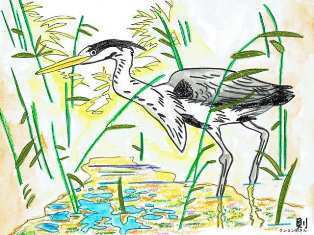 0-73-73-kurosagi-ill-ms-web.jpg
