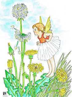 0-73-84-fary-tanpopo-ill-ms-web.jpg