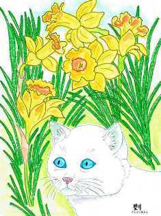 0-74-02-Cat-and-Daffodils-ill-ms-web.jpg
