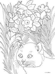 0-74-02-Cat-and-Daffodils-sen-web.jpg