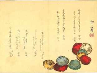 0-74-25-hiougi-shells-gazou-web.jpg