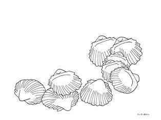 0-74-25-hiougi-shells-sen-web.jpg