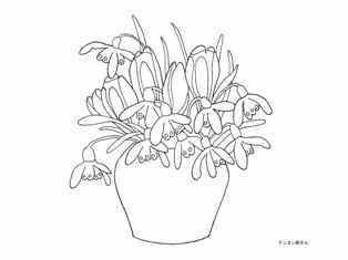 0-74-62-snowdrop-sen-web.jpg