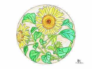 0-74-99-sunflower-zeshin-ill-ms-web.jpg