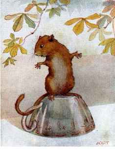 0-75-25-mouse-Margaret-gazou-web.jpg