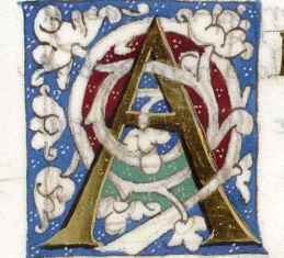 0-75-58-ace-gazou-web.jpg