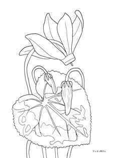 0-75-61-Cyclamen-poststamp-sen-web.jpg