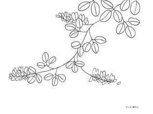 0-75-94-hagi-flower-sen-web.jpg
