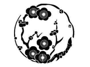 0-75-96-ume-edamaru-gazou-web.jpg