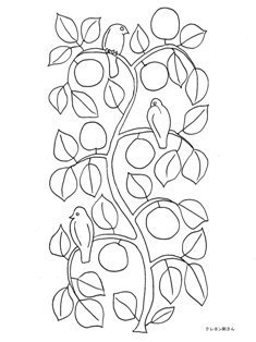 0-76-11-birds-apple-sen-web.jpg