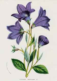 0-76-12-kikyou-gazou-web.jpg