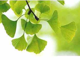 0-76-17-ichou-gazou-web.jpg