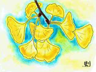 0-76-17-ichou-ill-ms-web.jpg