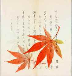 0-76-18-momiji-gazou-web.jpg
